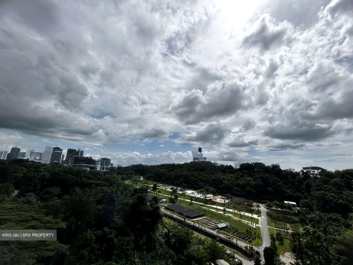 Normanton Park (D5), Apartment #565839571